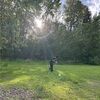 lenapetrov
